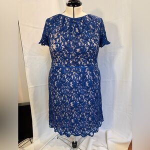 Coldwater Creek Royal Blue Lace knee length Dress